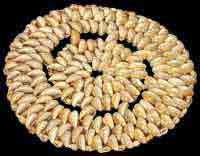 Napkin Rings & Dishes